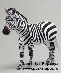 Бумажная модель Зебры