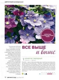 Цветники в саду №12 (декабрь /  2015) 